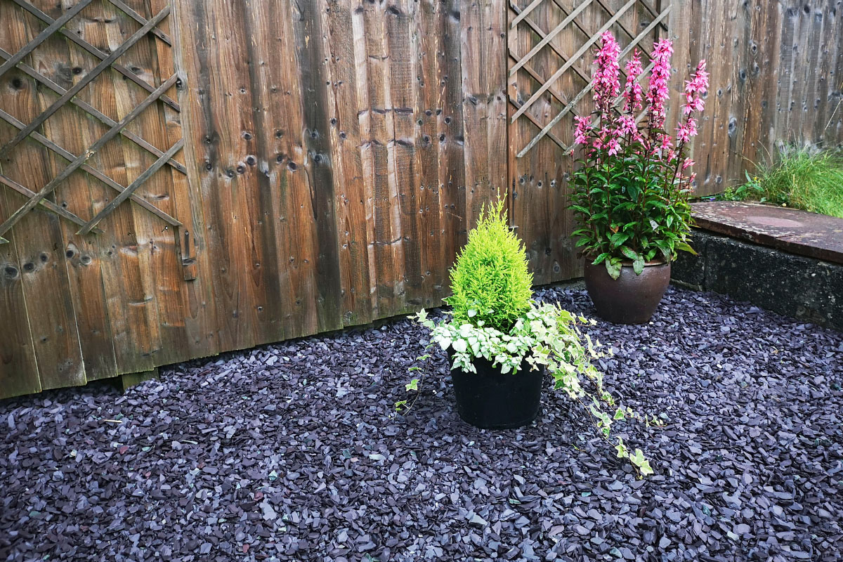 Blue slate chippings and plant pots
