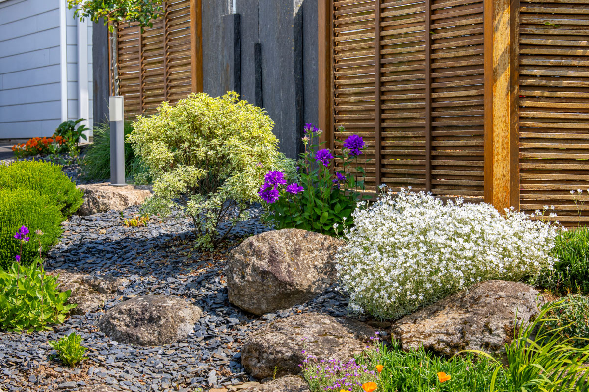 Rock garden with contemporary design